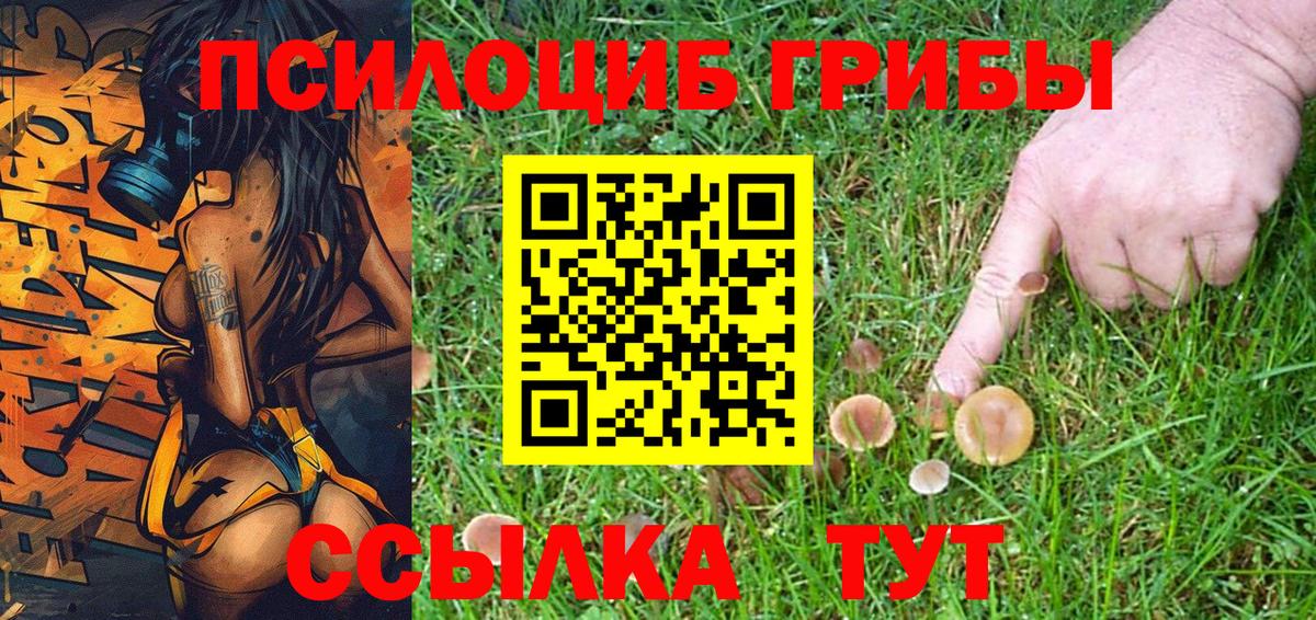 Псилоцибиновые грибы Psilocybe  Псилоцибиновые грибы мухоморы  Пыть-Ях  где купить наркотик  Вход с VPN 