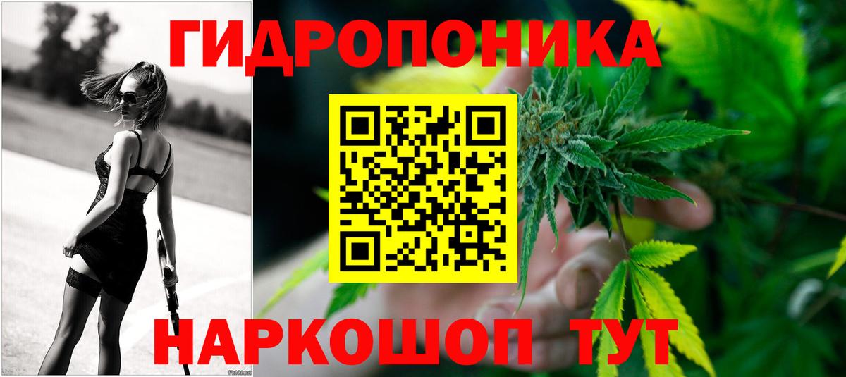 Марихуана сатива Пыть-Ях
